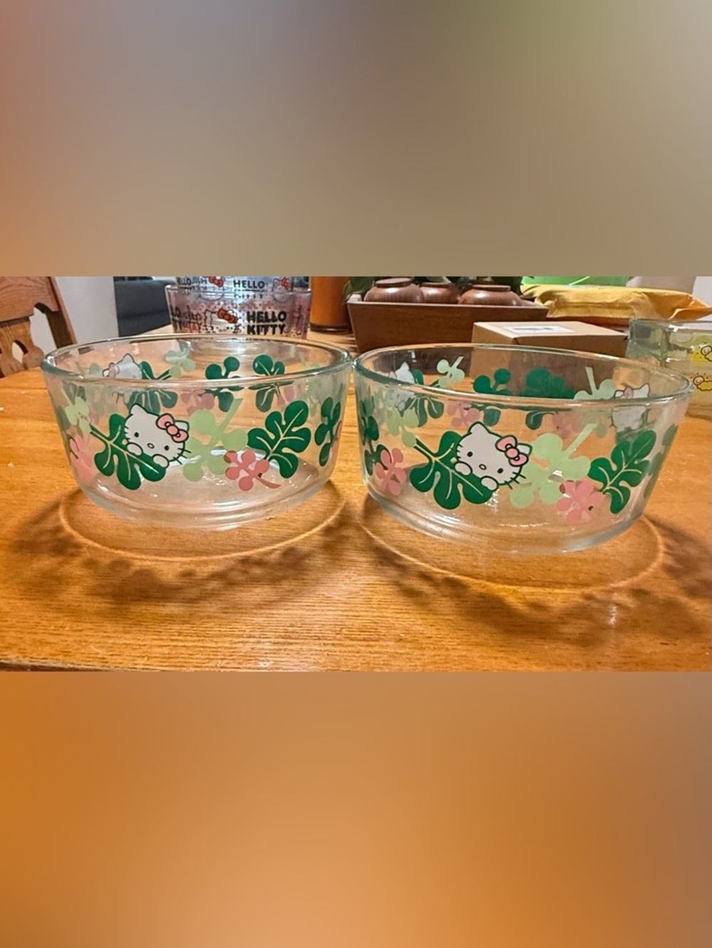 Hello Kitty Clear Glass Bowls with Green Leaves and Pink Flowers new 6”